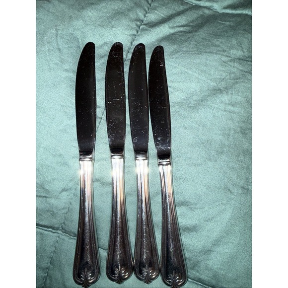 Lenox Other - Lenox BUTLER'S GOURMET 18/8 Stainless Glossy Silverware 4 Dinner Knives 8 in.